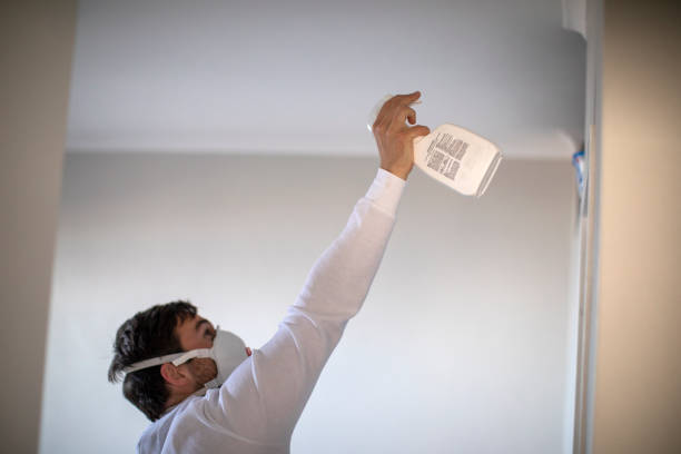 Best Water Damage Restoration  in Mayfair, CA