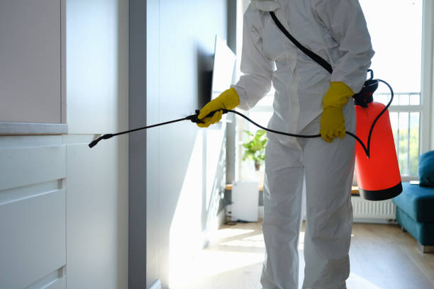  Mayfair, CA Mold Removal Pros